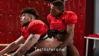 Testosterone